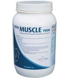 VITA MUSCLE PUSH