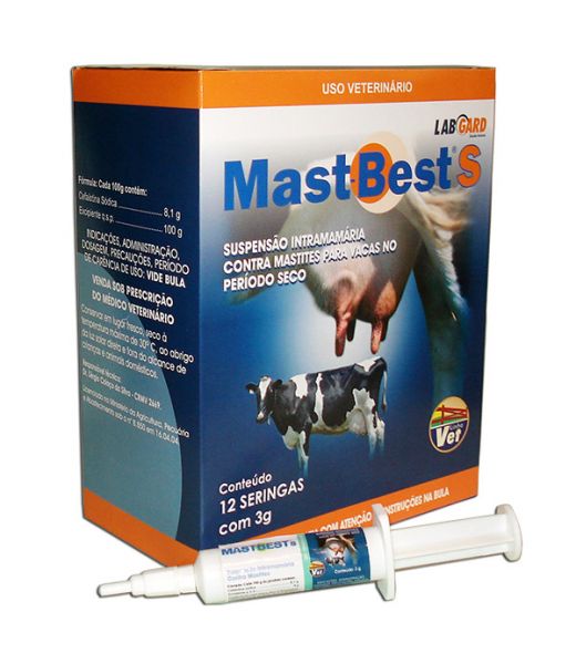 MAST-BEST S